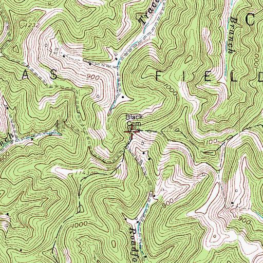 Topographic Map of Black Cemetery, WV