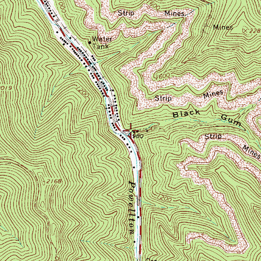 Topographic Map of Black Gum Hollow, WV