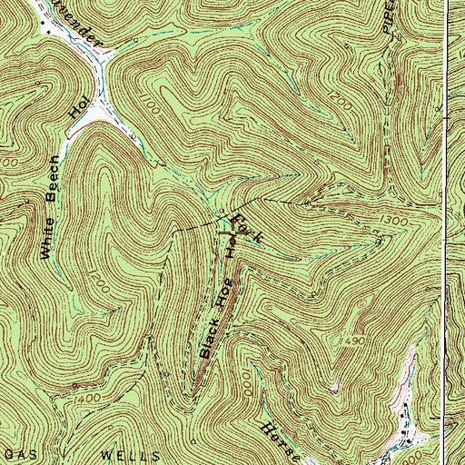 Topographic Map of Black Hog Hollow, WV