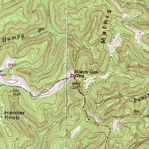Topographic Map of Black Oak Gap, WV