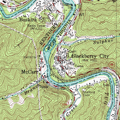 Topographic Map of Blackberry City, WV