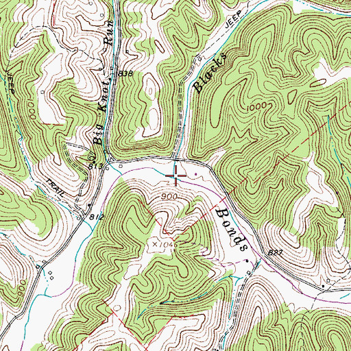 Topographic Map of Blacks Run, WV