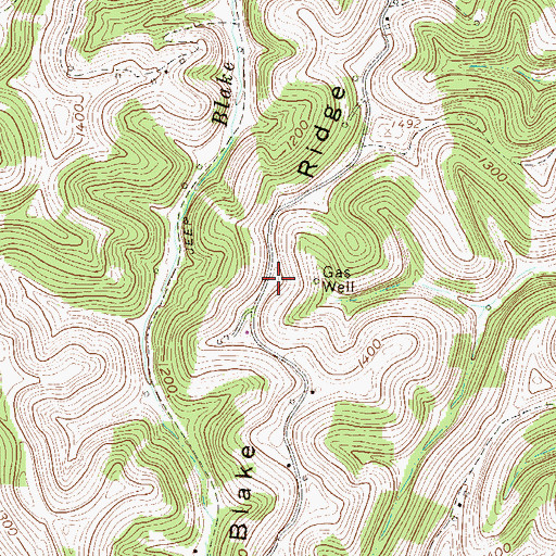 Topographic Map of Blake Ridge, WV