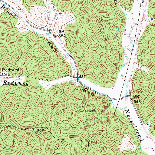 Topographic Map of Blood Run, WV