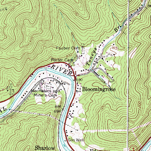 Topographic Map of Bloomingrose, WV