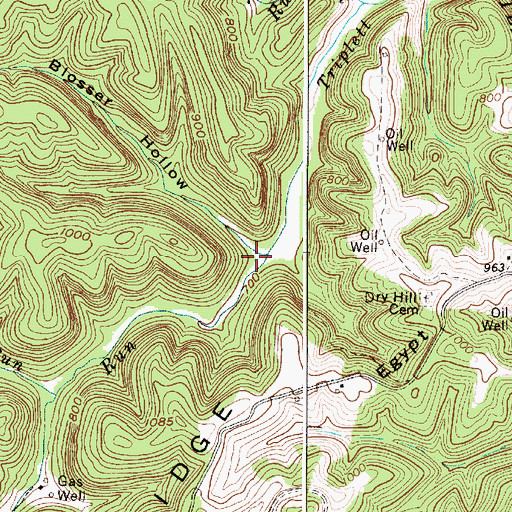 Topographic Map of Blosser Hollow, WV