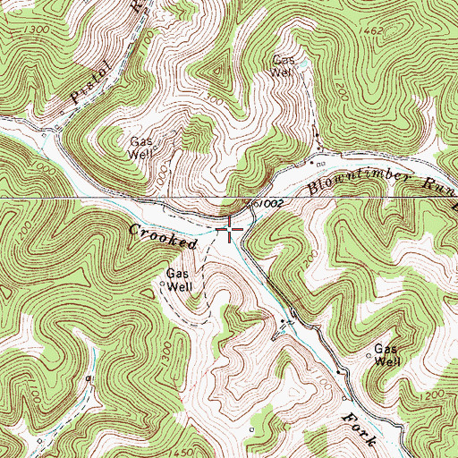 Topographic Map of Blowntimber Run, WV
