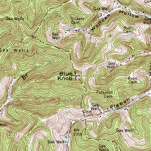 Topographic Map of Blue Knob, WV