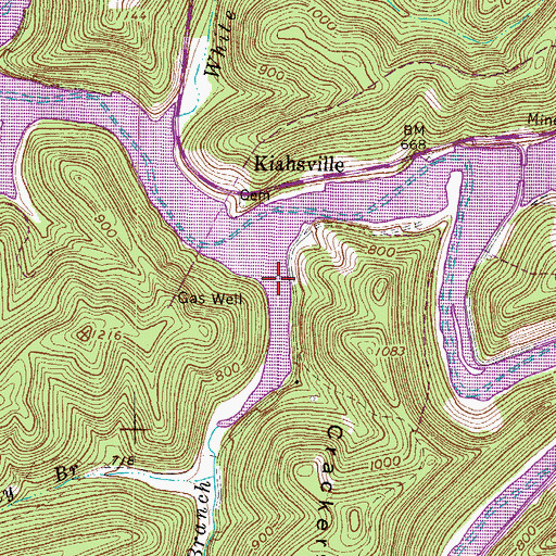 Topographic Map of Bluelick Branch, WV