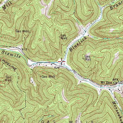 Topographic Map of Bluelick Branch, WV