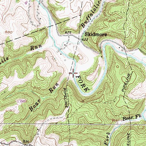 Topographic Map of Boar Run, WV