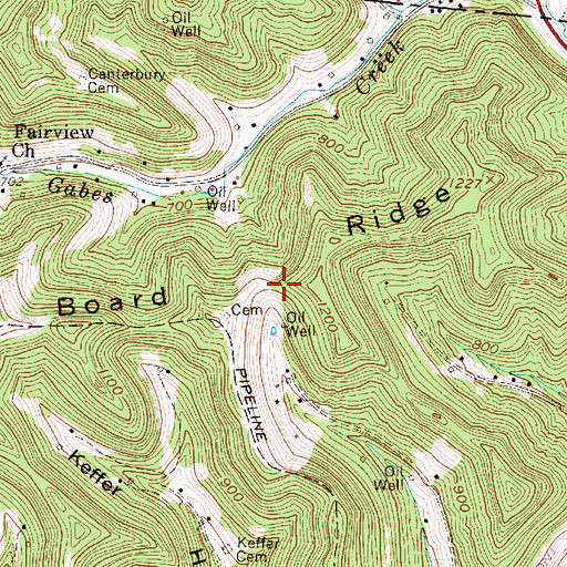 Topographic Map of Board Ridge, WV