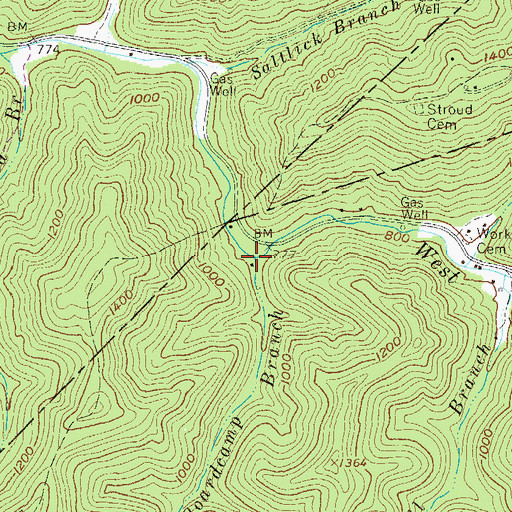 Topographic Map of Boardcamp Branch, WV
