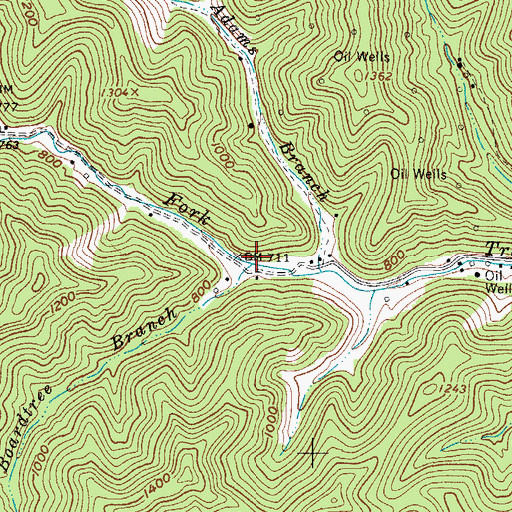 Topographic Map of Boardtree Branch, WV