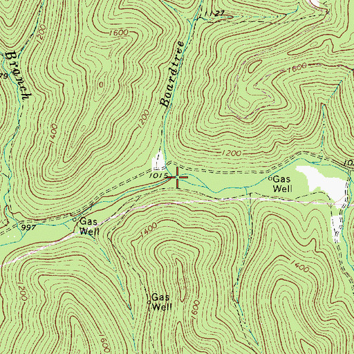 Topographic Map of Boardtree Branch, WV