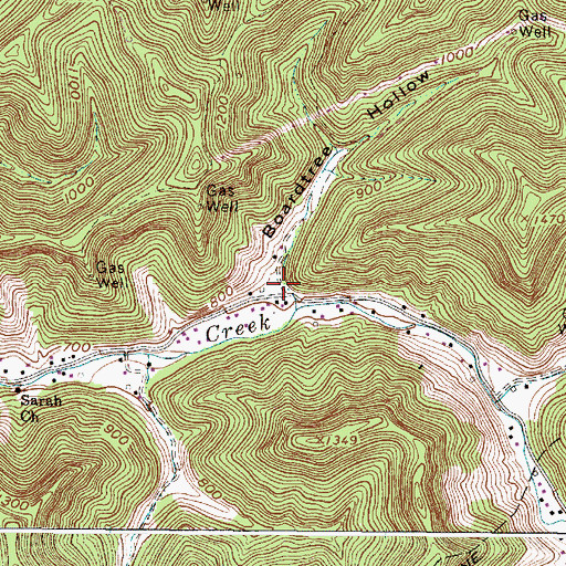 Topographic Map of Boardtree Hollow, WV