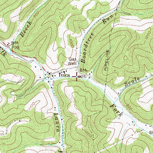 Topographic Map of Boardtree Run, WV