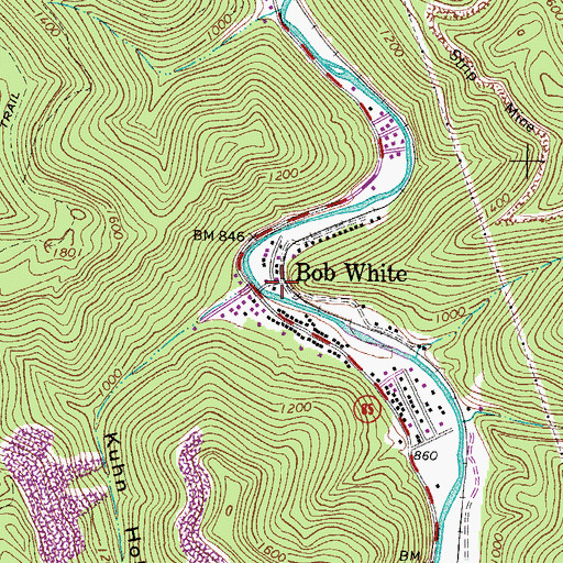 Topographic Map of Bob White, WV