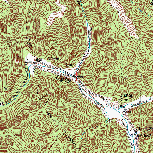 Topographic Map of Bobby Creek, WV