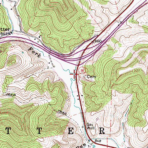 Topographic Map of Boggs Fork, WV