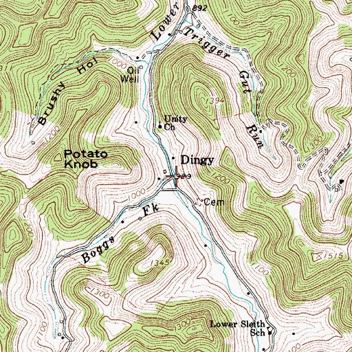 Topographic Map of Boggs Fork, WV