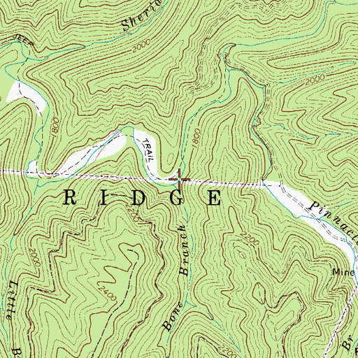 Topographic Map of Bone Branch, WV