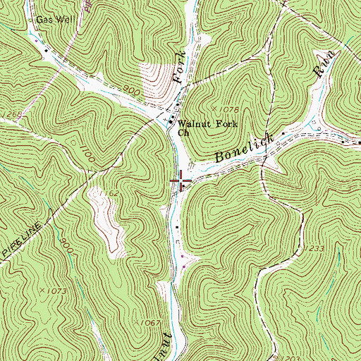 Topographic Map of Bonelick Run, WV