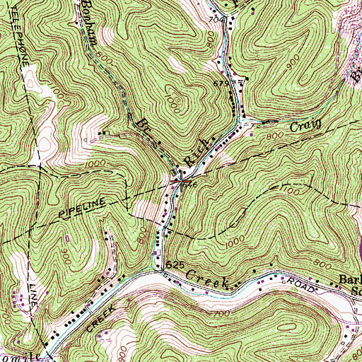 Topographic Map of Bonham Branch, WV