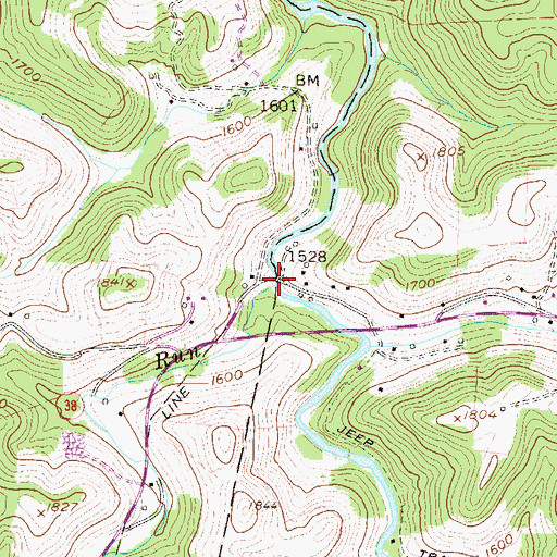 Topographic Map of Bonica Run, WV