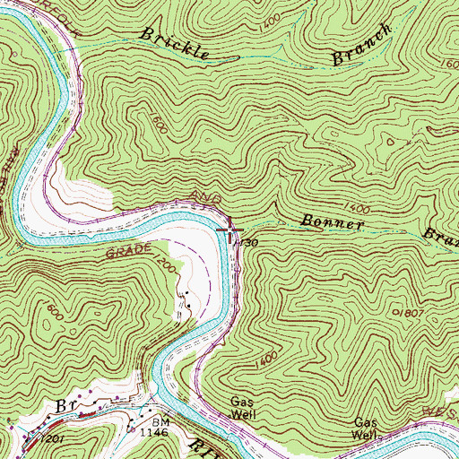Topographic Map of Bonner Branch, WV