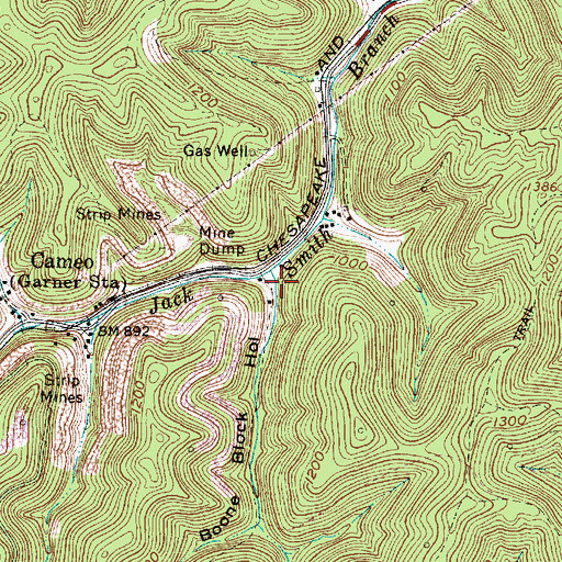 Topographic Map of Boone Block Hollow, WV