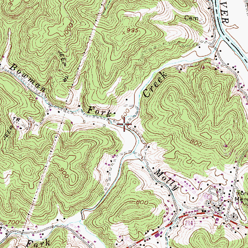 Topographic Map of Bowman Fork, WV