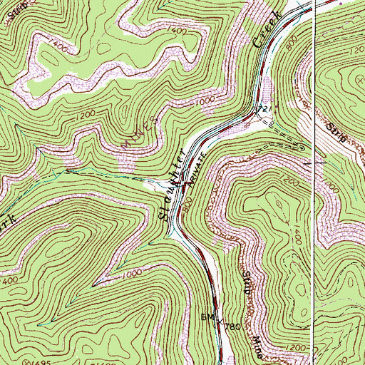 Topographic Map of Bradley Fork, WV