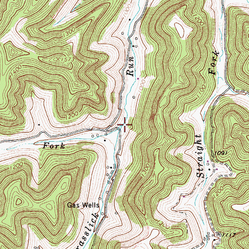 Topographic Map of Brady Fork, WV