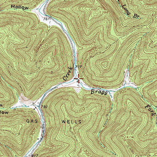 Topographic Map of Bragg Fork, WV