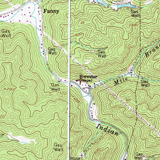 Topographic Map of Brewster Chapel, WV
