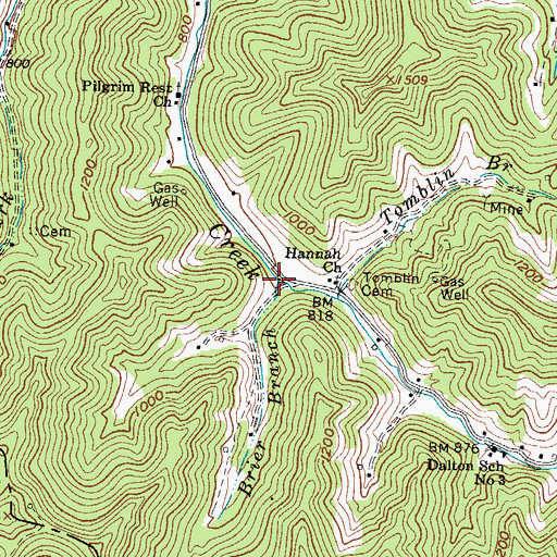 Topographic Map of Brier Branch, WV