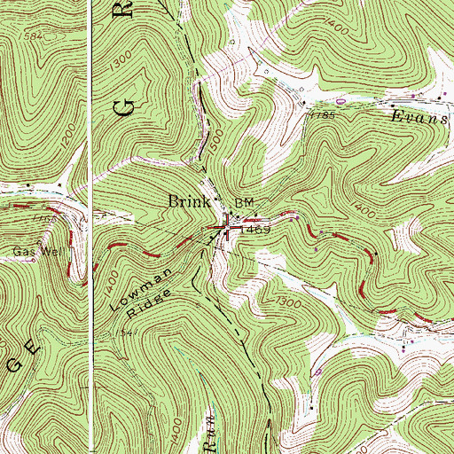 Topographic Map of Brink, WV