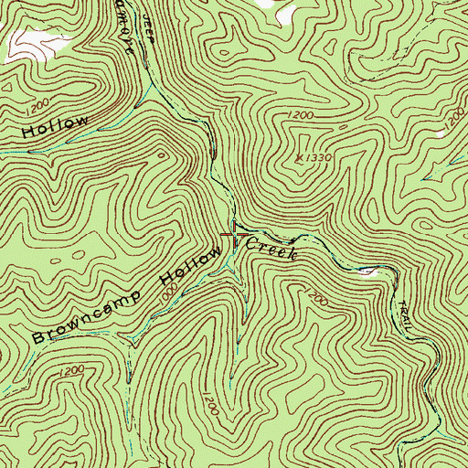 Topographic Map of Browncamp Hollow, WV