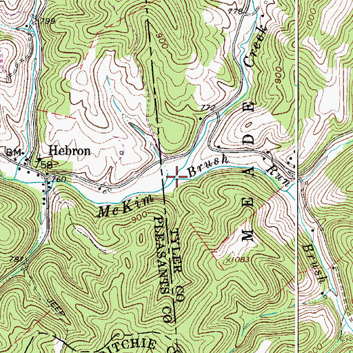 Topographic Map of Brush Run, WV