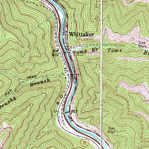 Topographic Map of Brushy Branch, WV