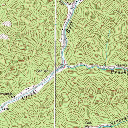Topographic Map of Brushy Fork, WV