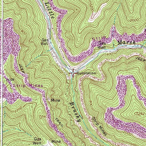Topographic Map of Brushy Fork, WV