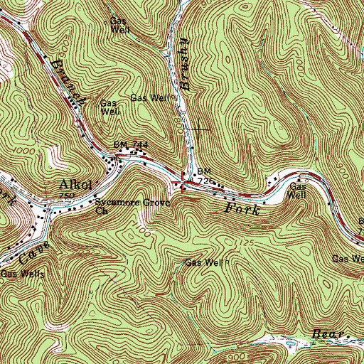 Topographic Map of Brushy Fork, WV