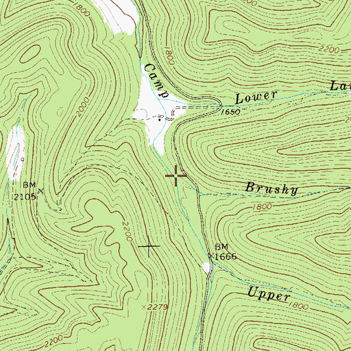 Topographic Map of Brushy Fork, WV