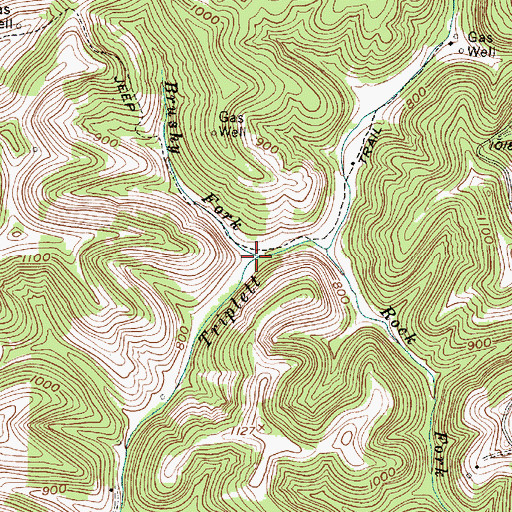 Topographic Map of Brushy Fork, WV