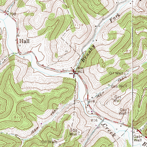 Topographic Map of Brushy Fork, WV