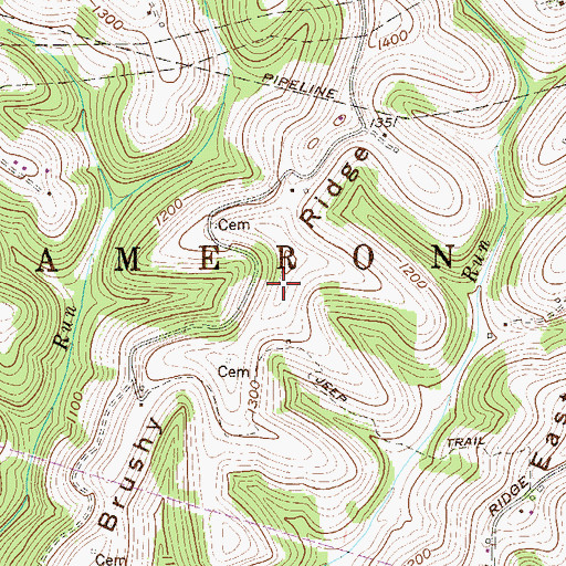 Topographic Map of Brushy Ridge, WV