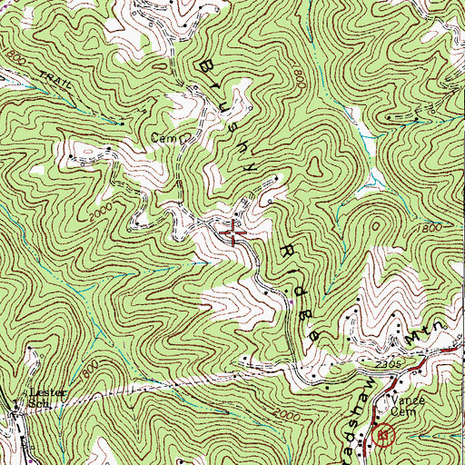 Topographic Map of Brushy Ridge, WV