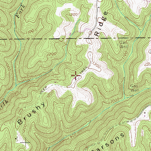 Topographic Map of Brushy Ridge, WV